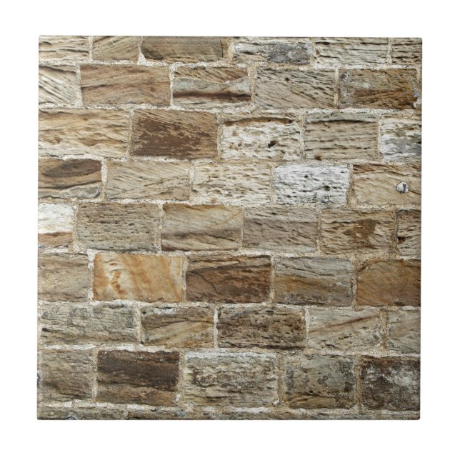 Azulejo Pared de ladrillo vieja (Frente)