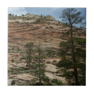 Azulejo Paredes de roca desgastadas en el Parque Nacional 