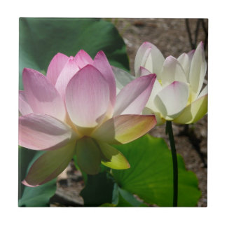 Azulejo Pareja de flores de Lotus I