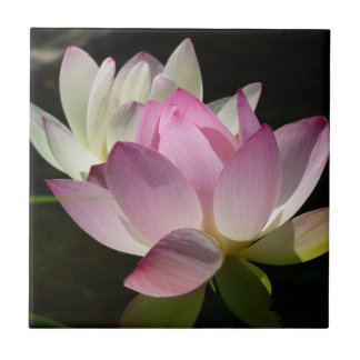 Azulejo Pareja de flores de Lotus II