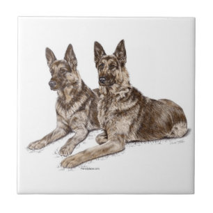 Azulejo Pareja de perros pastor alemanes