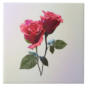 Azulejo Pareja de Rosas