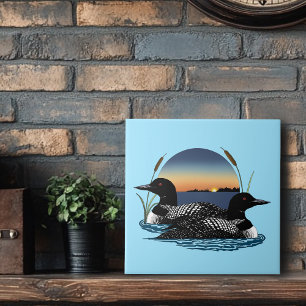 Azulejo Pareja de somormujos Lago Azul al Atardecer Fauna
