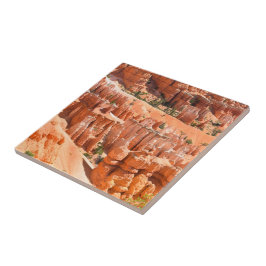 Azulejo Parque Bryce Canyon Utah Paisaje Hoodoos Foto
