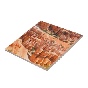 Azulejo Parque Bryce Canyon Utah Paisaje Hoodoos Foto