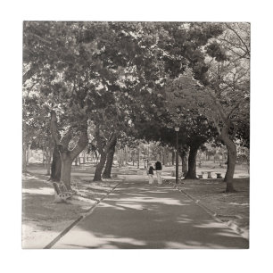 Azulejo Parque de Ciudad del Cabo de Waal ZA Sudáfrica