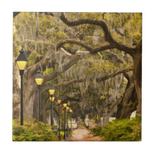 Azulejo Parque de Forsyth - foto, sabana, Georgia (GA) los