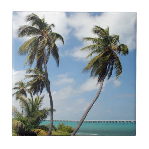 Azulejo Parque estatal Bahia Honda