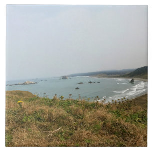 Azulejo Parque estatal Cabo Blanco, Costa de Oregón