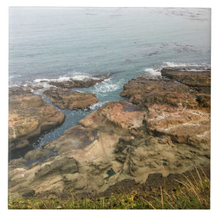 Azulejo Parque Estatal Cape Arago, Costa de Oregón