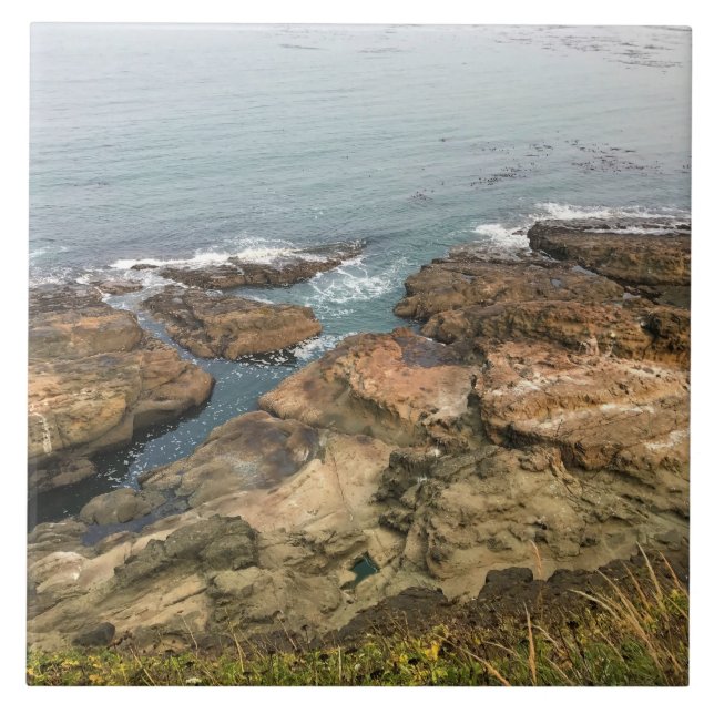 Azulejo Parque Estatal Cape Arago, Costa de Oregón (Frente)
