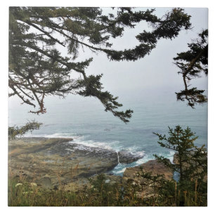 Azulejo Parque Estatal Cape Arago, Costa de Oregón