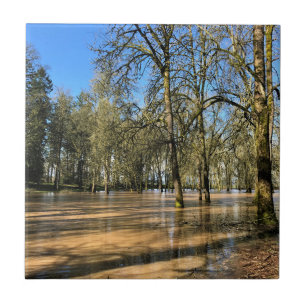 Azulejo Parque Estatal Champoeg, Saint Paul, OR