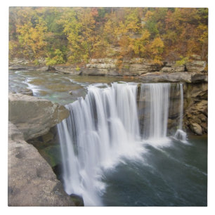 Azulejo Parque Estatal Cumberland Falls cerca de Corbin Ke