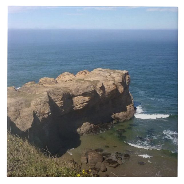 Azulejo Parque Estatal Devil's Punchbowl, Costa de Oregón (Frente)