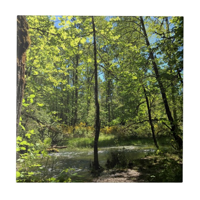 Azulejo Parque Estatal Elijah Bristow, Dexter, Oregón (Frente)