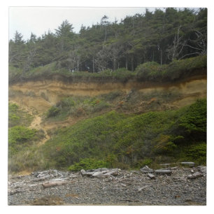 Azulejo Parque Estatal Neptune, OR