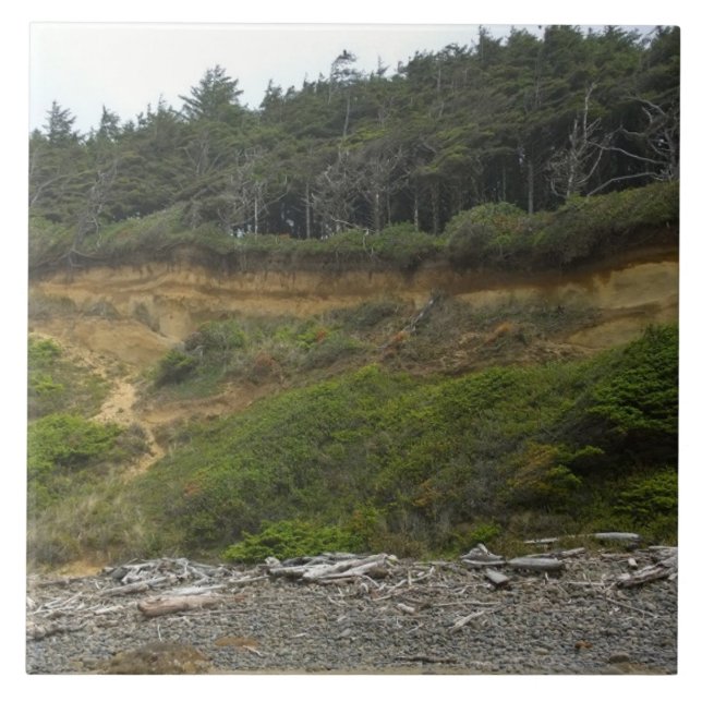 Azulejo Parque Estatal Neptune, OR (Frente)