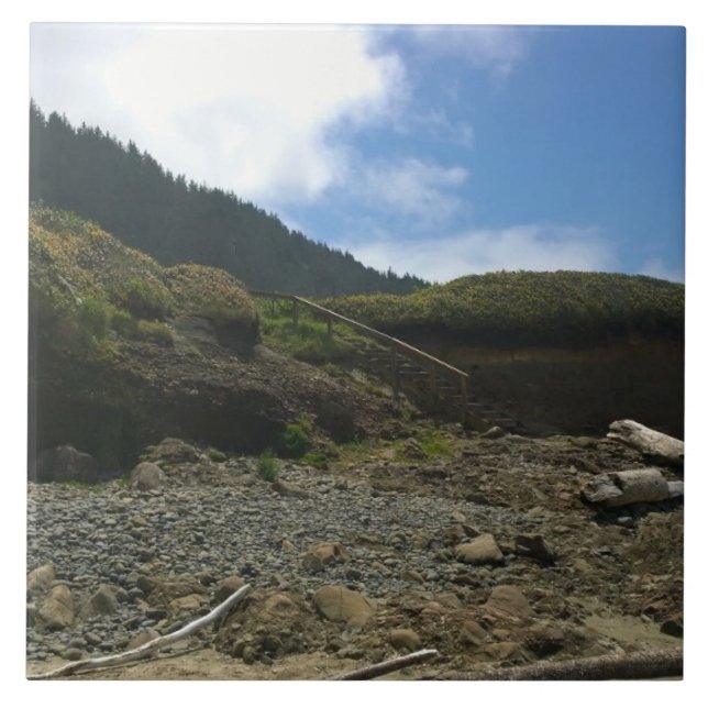 Azulejo Parque Estatal Neptune, OR (Frente)