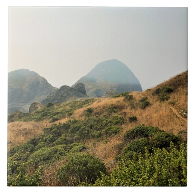 Azulejo Parque Estatal Sisters Rock, Costa de Oregón (Frente)
