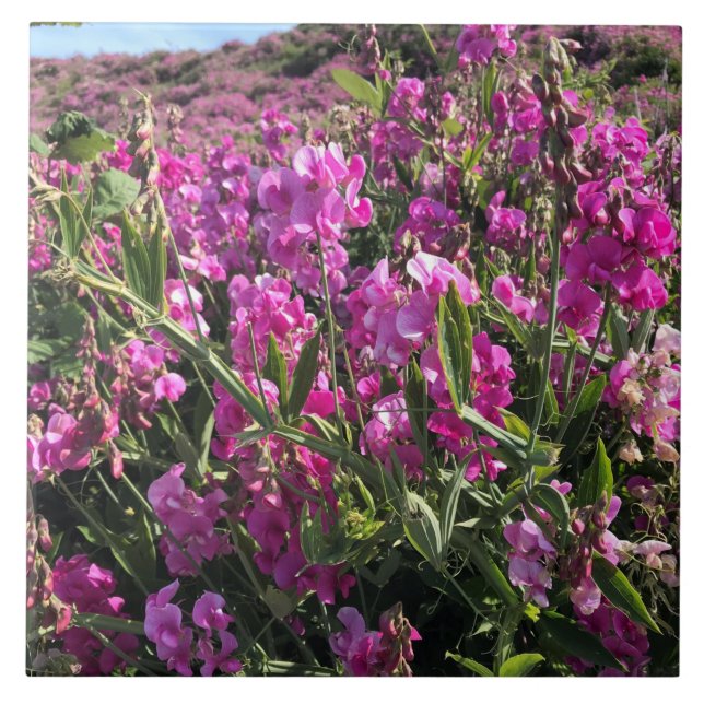 Azulejo Parque Estatal Sisters Rock, Costa de Oregón (Frente)