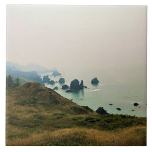 Azulejo Parque Estatal Sisters Rock, Costa de Oregón