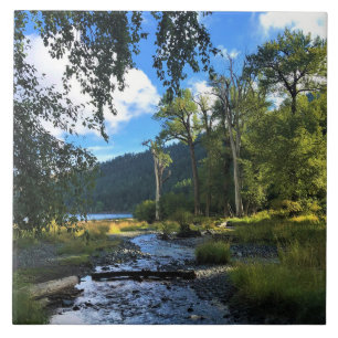 Azulejo Parque Estatal Wallowa Lake, OR