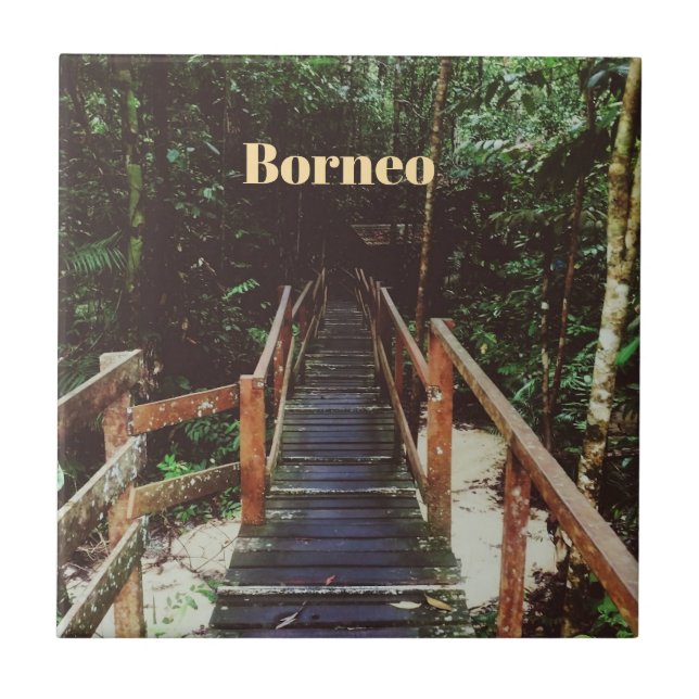 Azulejo Parque Nacional Bako - Borneo (Frente)