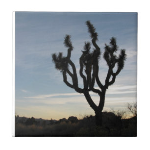 Azulejo Parque nacional de la yuca