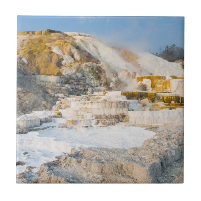 Azulejo Parque nacional de Yellowstone (Frente)