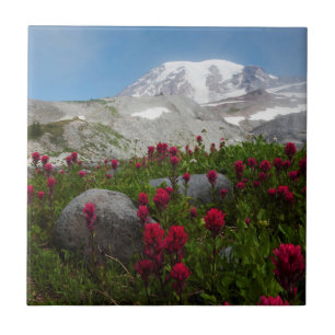 Azulejo Parque Nacional del Monte Rainier, Monte Rainier 1