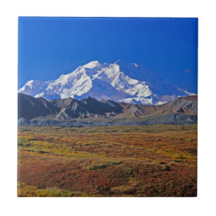 Azulejo Parque Nacional Denali Mt. McKinley, Alaska