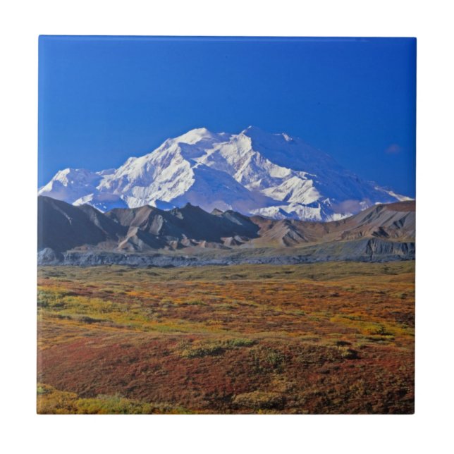 Azulejo Parque Nacional Denali Mt. McKinley, Alaska (Frente)