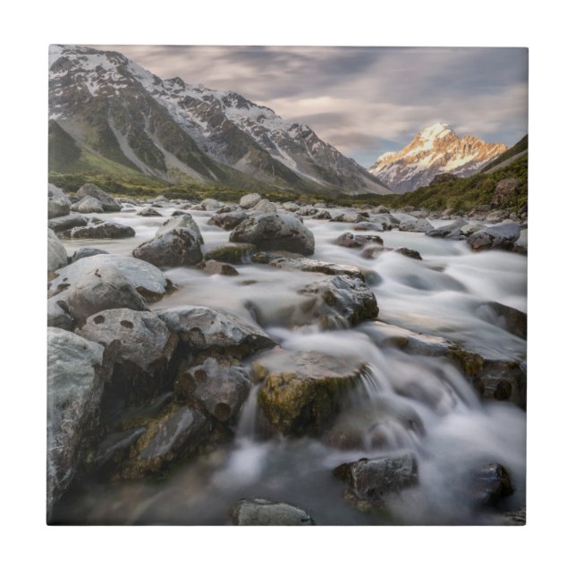 Azulejo Parque nacional el | Nueva Zelanda del cocinero de (Frente)