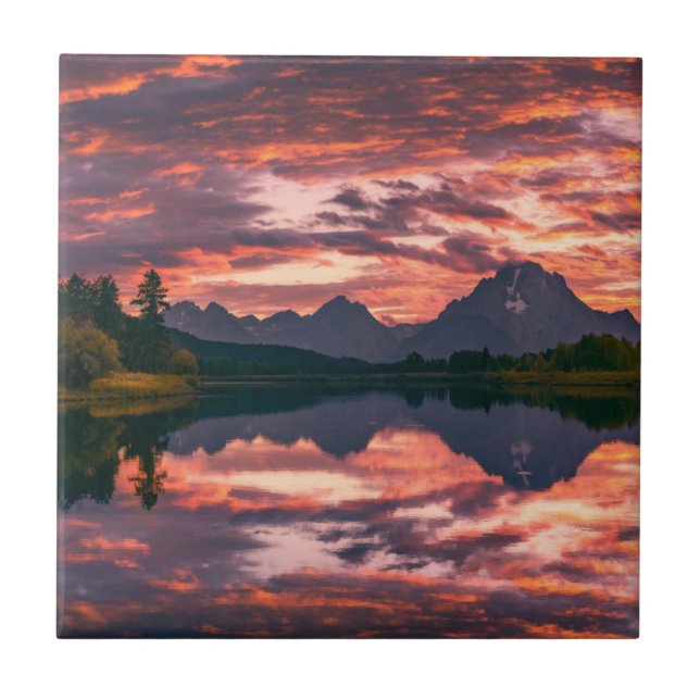 Azulejo Parque nacional magnífico de Teton, Wyoming (Frente)