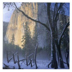 Azulejo PARQUE NACIONAL YOSEMITE, CALIFORNIA. EE. UU. Luz