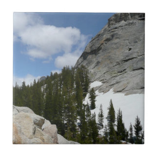 Azulejo Parque nacional Yosemite de nevadas de granito II