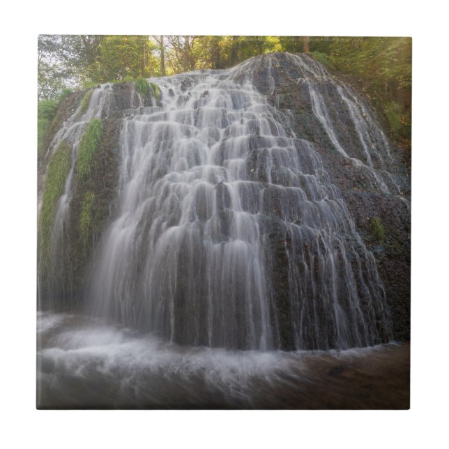 Azulejo Parque Natural del Monasterio - cascada (Frente)