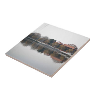 Azulejo Parque zoológico en Wuhan, China. Estilo chino ant