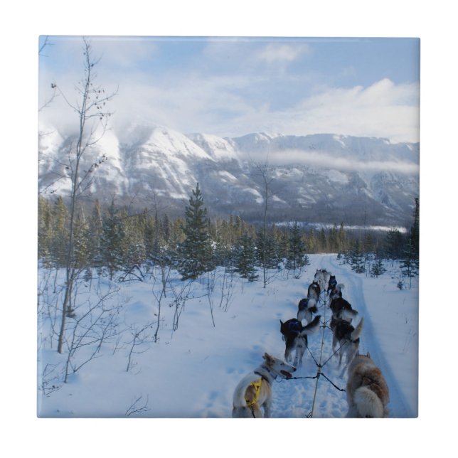 Azulejo ParrotSleds - paisaje (Frente)