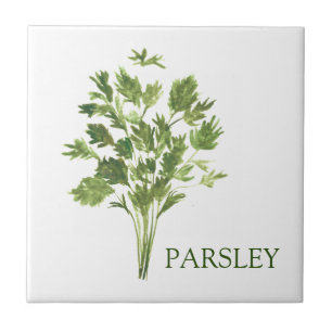 Azulejo Parsley Herb Greenery Kitchen Culinario Verde