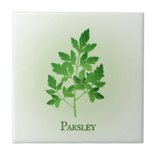 Azulejo Parsley Herbal Design Ceramic Tile