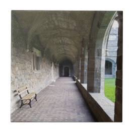 Azulejo Pasadizo de claustro con sombras en Bryn Mawr