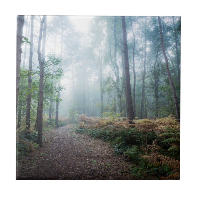 Azulejo Paseo brumoso del bosque (Frente)