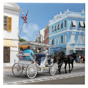 Azulejo Paseo en Carruaje por Hamilton Bermudas