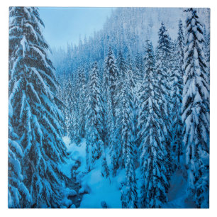 Azulejo Paso de Snoqualmie, Estado de Washington.