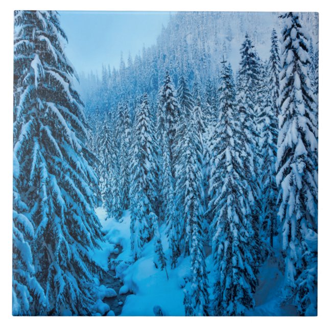 Azulejo Paso de Snoqualmie, Estado de Washington. (Frente)