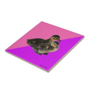 Azulejo Patitos sobre sorbete de frambuesa rosa y púrpura