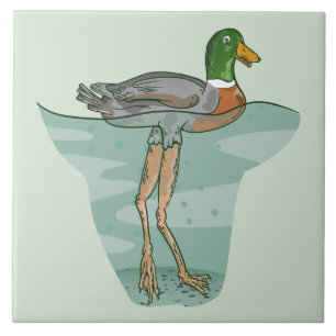 Azulejo Pato alto con piernas largas