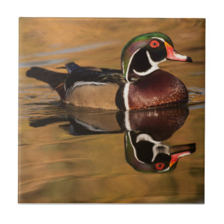 Azulejo Pato de madera en el lago Dorado